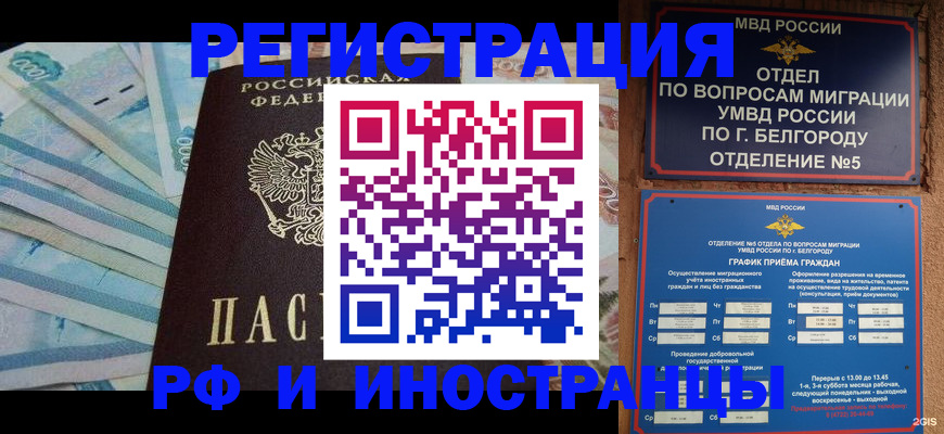 временная регистрация недорого в Котово